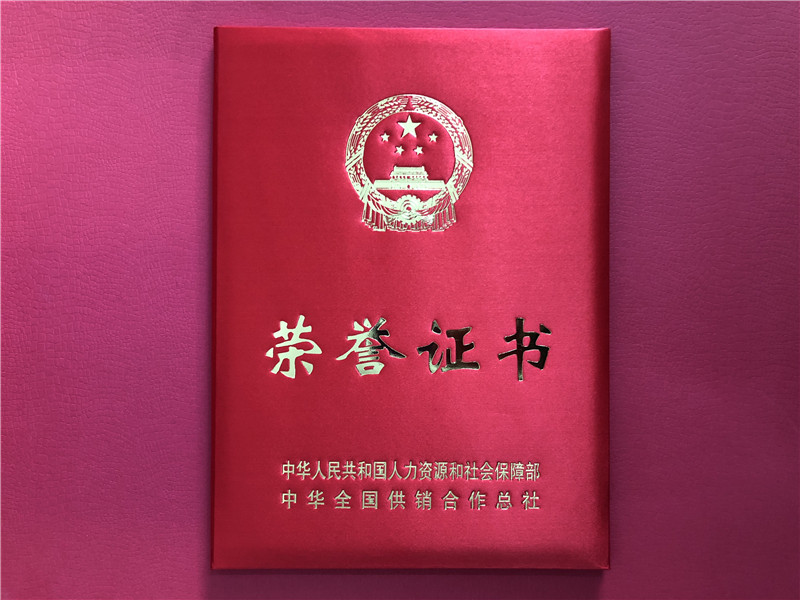 喜讯！登录入口连获三项殊荣