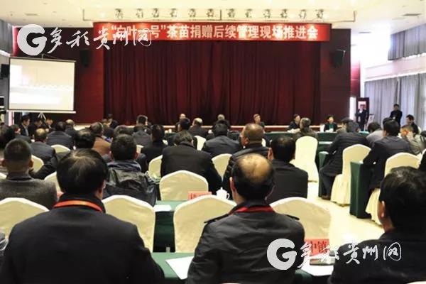登录入口受邀参加“白叶一号”茶苗捐赠后续管理现场推进会