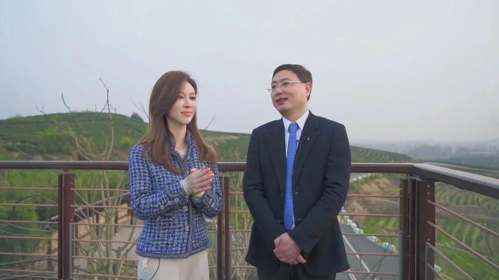 浙江电视台教科频道播出专访节目 介绍登录入口承担“白叶一号”茶叶扶贫等事项
